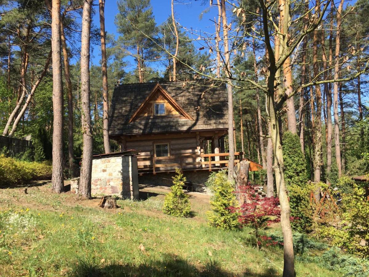 Domek Z Bali Tryszczyn Nad Brda Exteriör bild