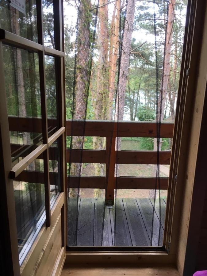 Domek Z Bali Tryszczyn Nad Brda Exteriör bild