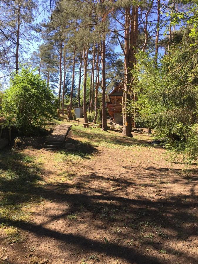 Domek Z Bali Tryszczyn Nad Brda Exteriör bild